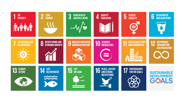 About SDG