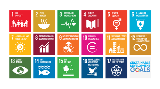 About SDG About SDG