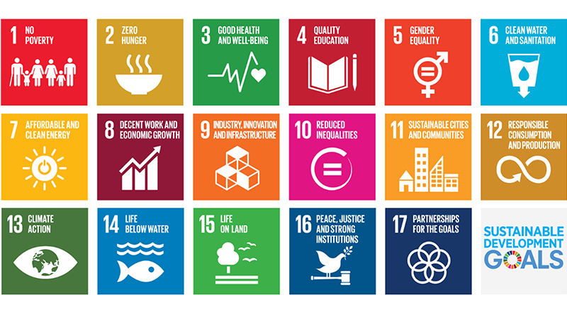 Understanding SDG